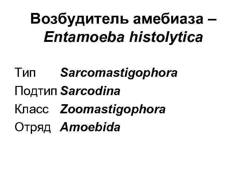 Возбудитель амебиаза – Entamoeba histolytica Тип Sarcomastigophora Подтип Sarcodina Класс Zoomastigophora Отряд Amoebida 