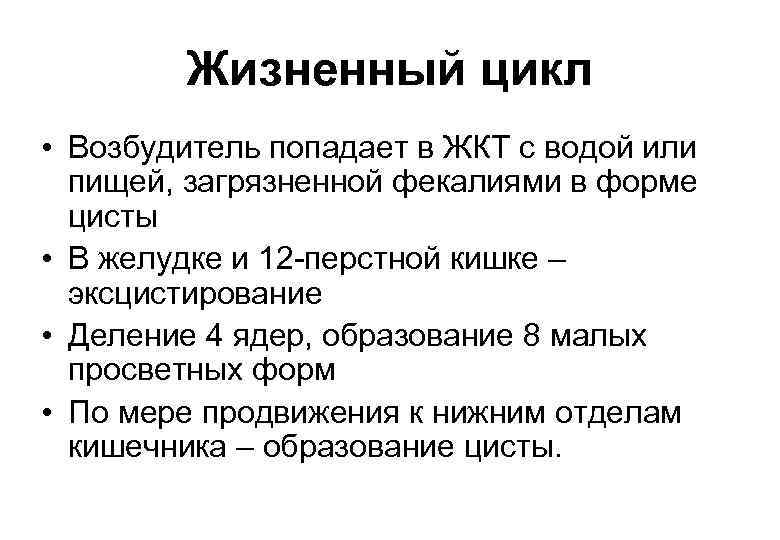Жизненный цикл • Возбудитель попадает в ЖКТ с водой или пищей, загрязненной фекалиями в
