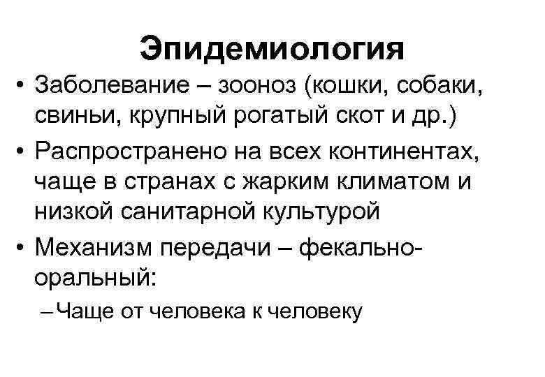 Эпидемиология • Заболевание – зооноз (кошки, собаки, свиньи, крупный рогатый скот и др. )