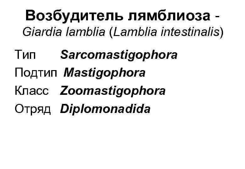 Возбудитель лямблиоза Giardia lamblia (Lamblia intestinalis) Тип Sarcomastigophora Подтип Mastigophora Класс Zoomastigophora Отряд Diplomonadida