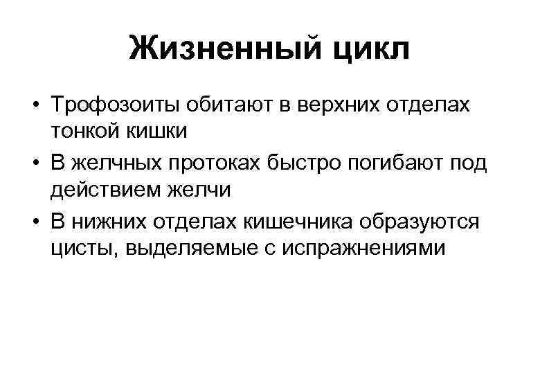 Жизненный цикл • Трофозоиты обитают в верхних отделах тонкой кишки • В желчных протоках