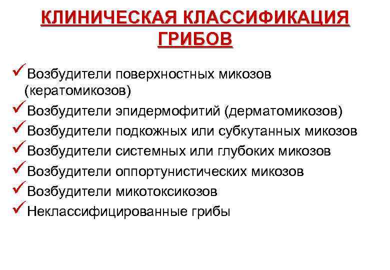 КЛИНИЧЕСКАЯ КЛАССИФИКАЦИЯ ГРИБОВ üВозбудители поверхностных микозов (кератомикозов) üВозбудители эпидермофитий (дерматомикозов) üВозбудители подкожных или субкутанных