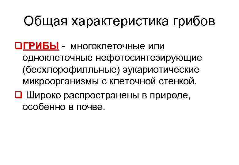 Общая характеристика грибов q. ГРИБЫ - многоклеточные или ГРИБЫ одноклеточные нефотосинтезирующие (бесхлорофилльные) эукариотические микроорганизмы
