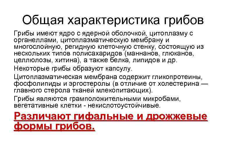 Общая характеристика грибов Грибы имеют ядро с ядерной оболочкой, цитоплазму с органеллами, цитоплазматическую мембрану