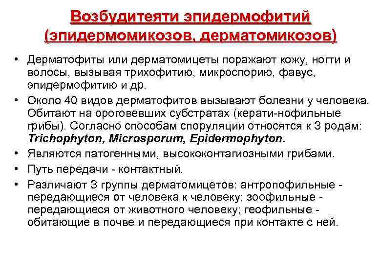 Возбудитеяти эпидермофитий (эпидермомикозов, дерматомикозов) • Дерматофиты или дерматомицеты поражают кожу, ногти и волосы, вызывая