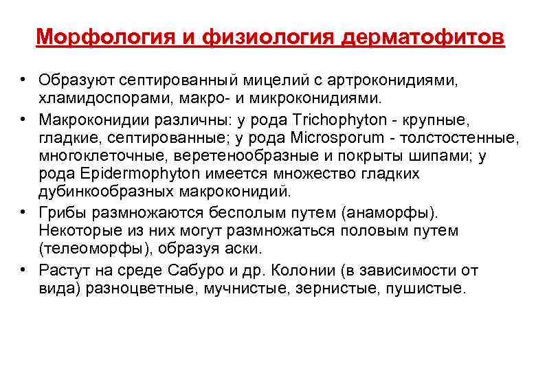 Морфология и физиология дерматофитов • Образуют септированный мицелий с артроконидиями, хламидоспорами, макро- и микроконидиями.