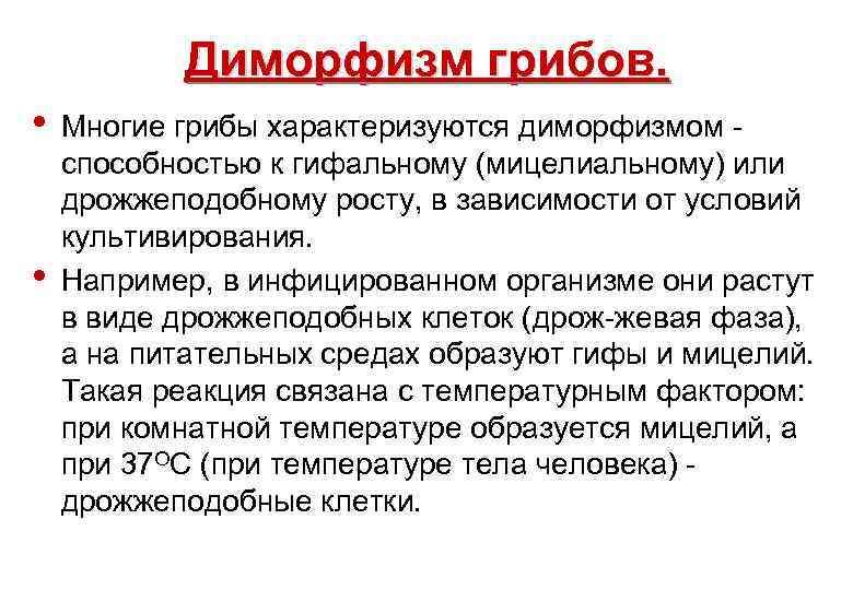 Диморфизм грибов. • • Многие грибы характеризуются диморфизмом - способностью к гифальному (мицелиальному) или