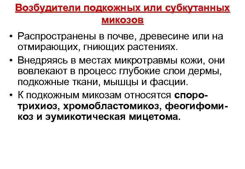 Возбудители подкожных или субкутанных микозов • Распространены в почве, древесине или на отмирающих, гниющих