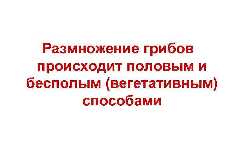 Размножение грибов происходит половым и бесполым (вегетативным) способами 