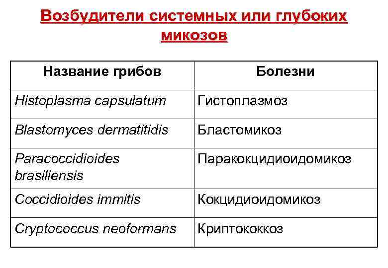 Возбудители системных или глубоких микозов Название грибов Болезни Histoplasma capsulatum Гистоплазмоз Blastomyces dermatitidis Бластомикоз