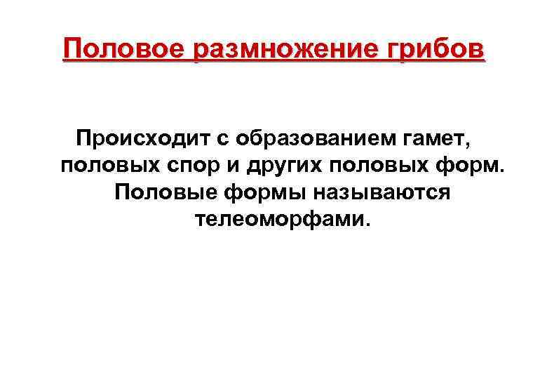 Половое размножение грибов Происходит с образованием гамет, половых спор и других половых форм. Половые