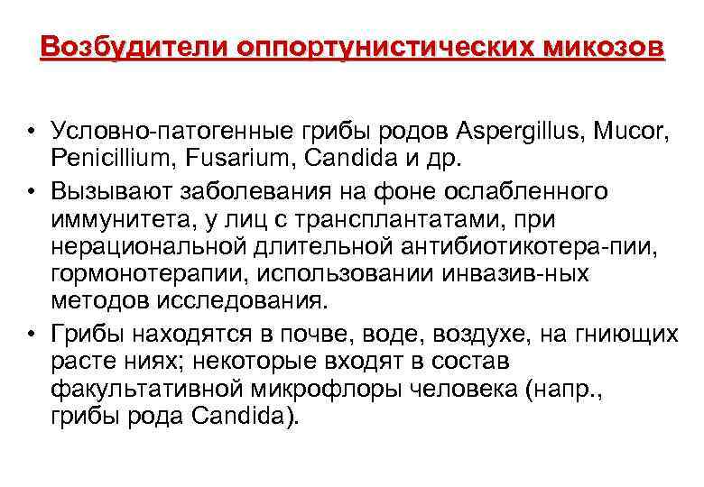 Возбудители оппортунистических микозов • Условно-патогенные грибы родов Аspergillus, Mucor, Penicillium, Fusarium, Candida и др.