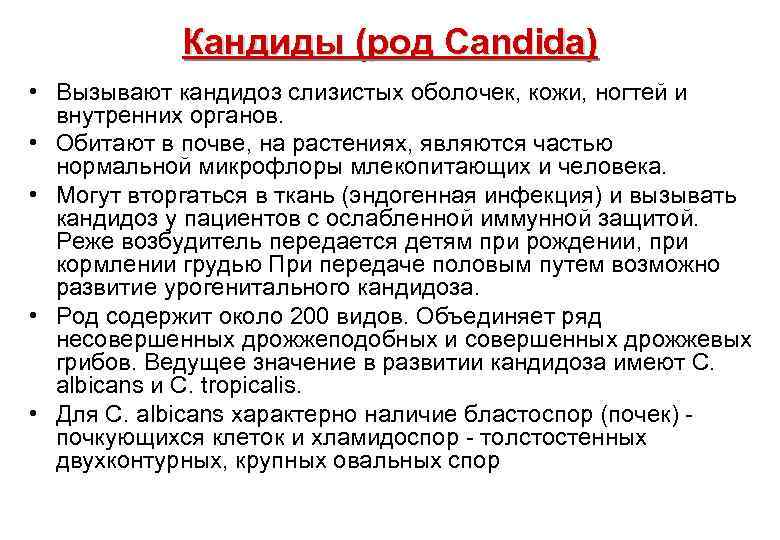 Кандиды (род Саndida) • Вызывают кандидоз слизистых оболочек, кожи, ногтей и внутренних органов. •