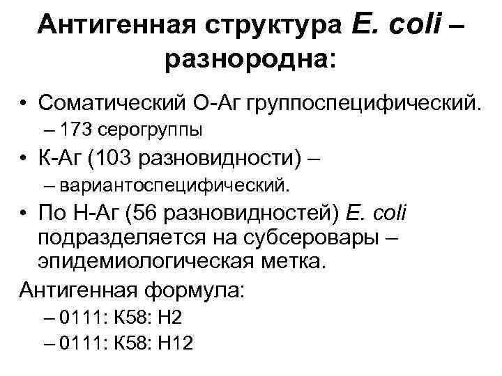 Антигенная структура E. coli – разнородна: • Соматический О-Аг группоспецифический. – 173 серогруппы •