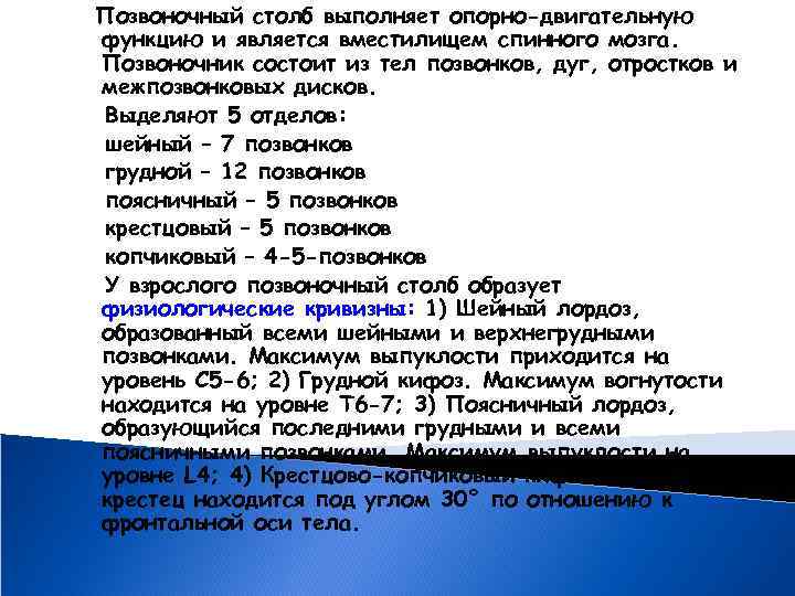 Позвоночный столб выполняет опорно-двигательную функцию и является вместилищем спинного мозга. Позвоночник состоит из тел