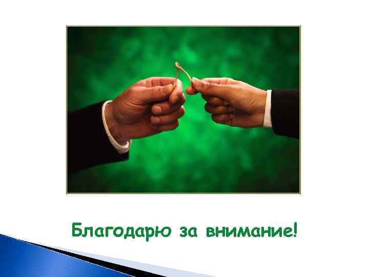 Благодарю за внимание! 