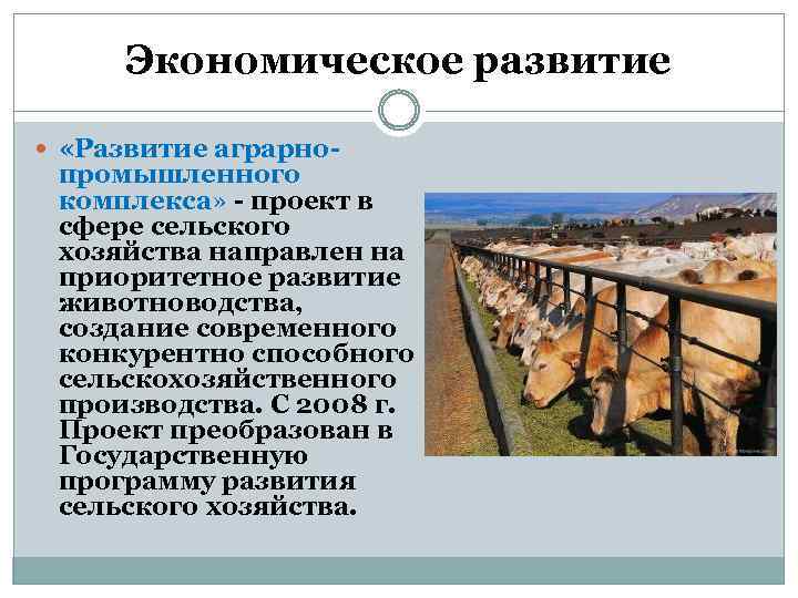 Экономическое развитие «Развитие аграрно- промышленного комплекса» - проект в сфере сельского хозяйства направлен на