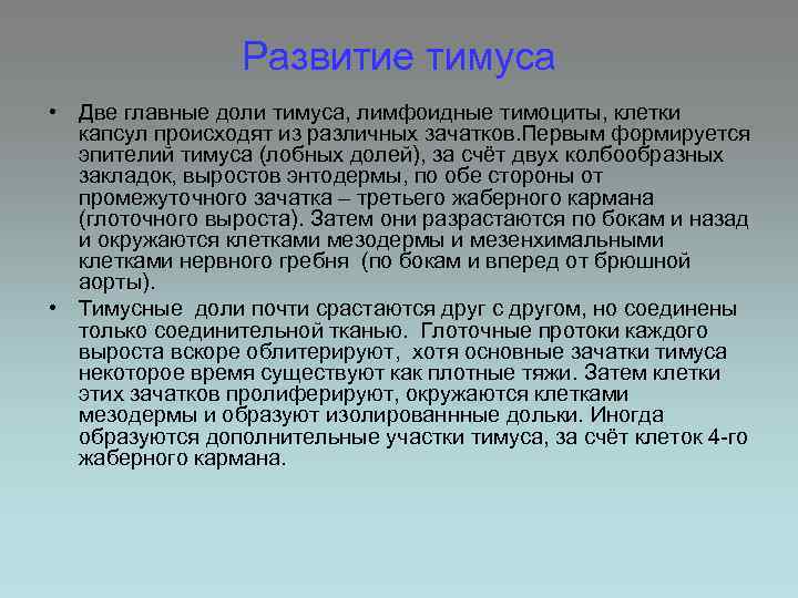 Развитие тимуса • Две главные доли тимуса, лимфоидные тимоциты, клетки капсул происходят из различных