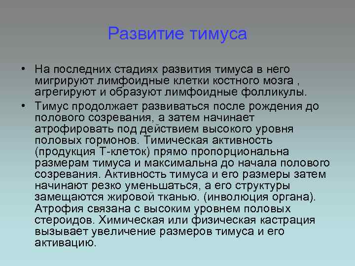 Развитие тимуса • На последних стадиях развития тимуса в него мигрируют лимфоидные клетки костного