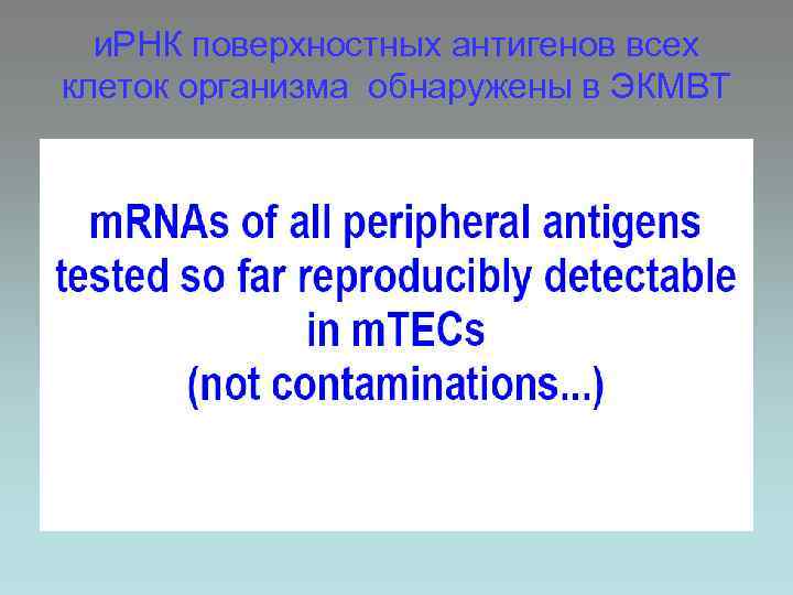 и. РНК поверхностных антигенов всех клеток организма обнаружены в ЭКМВТ 