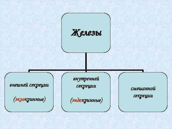 Железы внешней секреции внутренней секреции (экзокринные) (эндокринные) смешанной секреции 