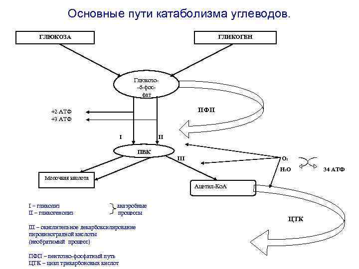 Схема катаболизма гема