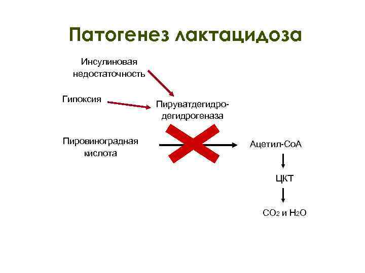 Патогенез лактацидоза Инсулиновая недостаточность Гипоксия Пировиноградная кислота Пируватдегидрогеназа Ацетил-Со. А ЦКТ СО 2 и