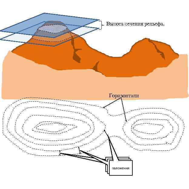 Высота сечения рельефа. Горизонтали заложения 