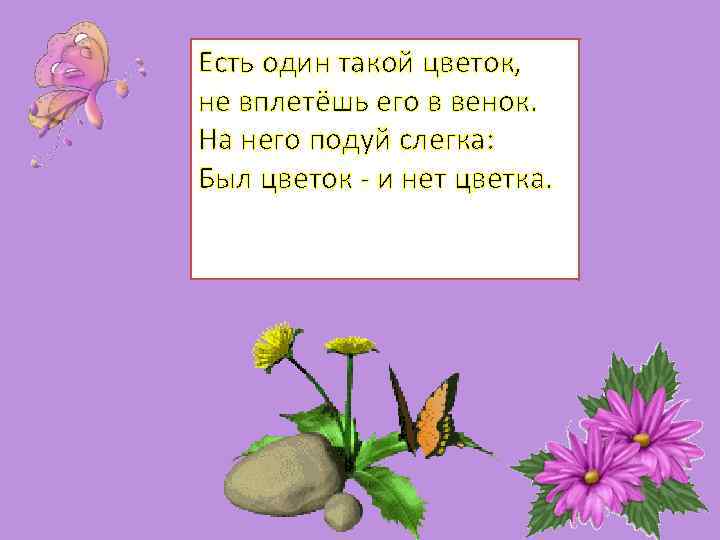 Есть один такой цветок, не вплетёшь его в венок. На него подуй слегка: Был