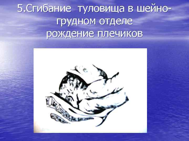 5. Сгибание туловища в шейногрудном отделе рождение плечиков 