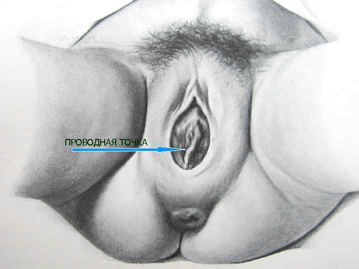 ПРОВОДНАЯ ТОЧКА 