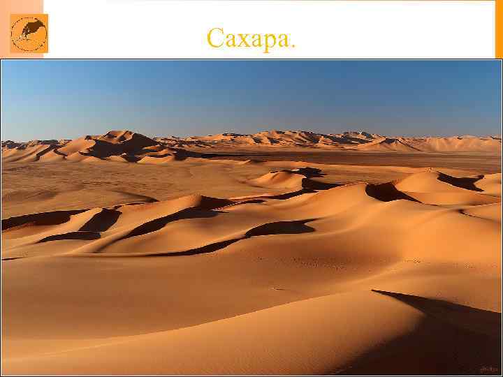 Сахара. 