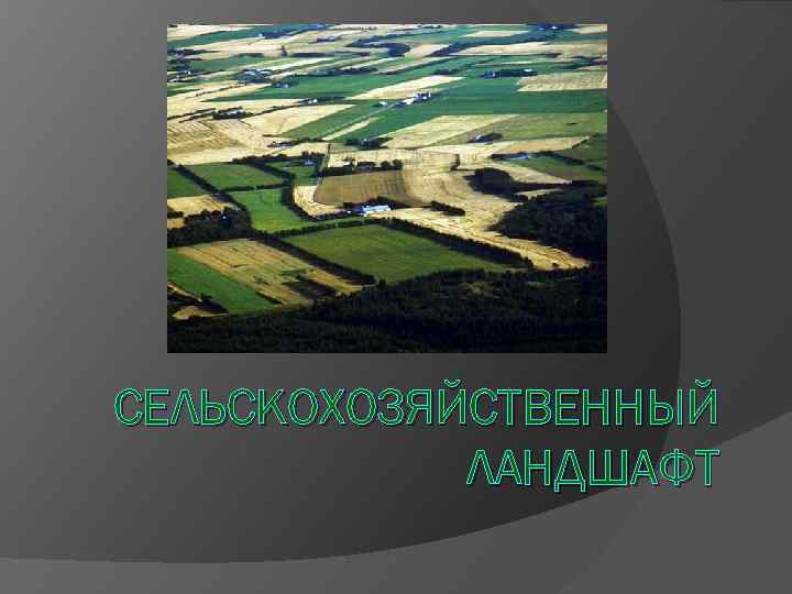 СЕЛЬСКОХОЗЯЙСТВЕННЫЙ ЛАНДШАФТ 
