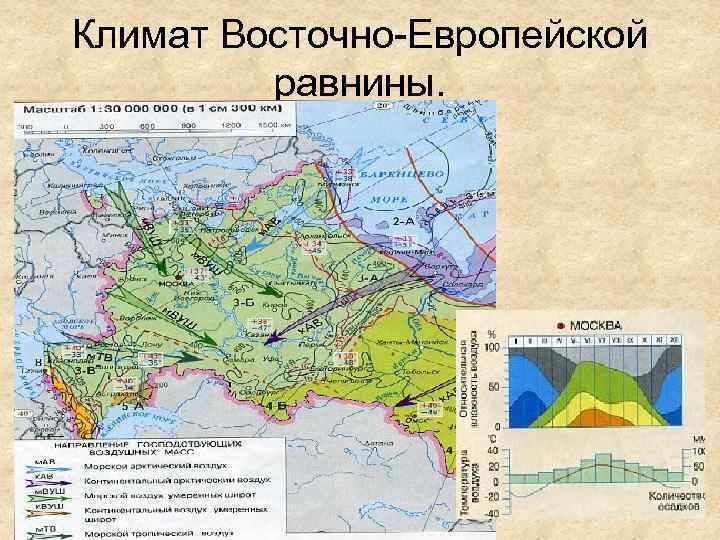 Климат Восточно-Европейской равнины. 