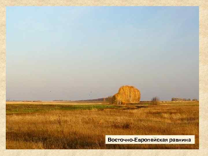 Восточно-Европейская равнина 