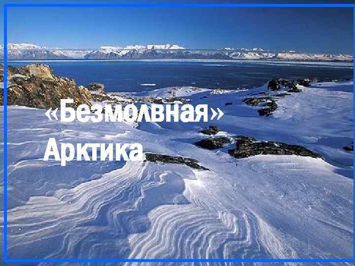  «Безмолвная» Арктика 