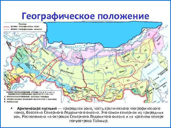 Географическое положение • Арктическая пустыня — природная зона, часть арктического географического пояса, бассейна Северного