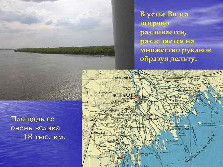 В устье Волга широко разливается, разделяется на множество рукавов образуя дельту. Площадь ее очень