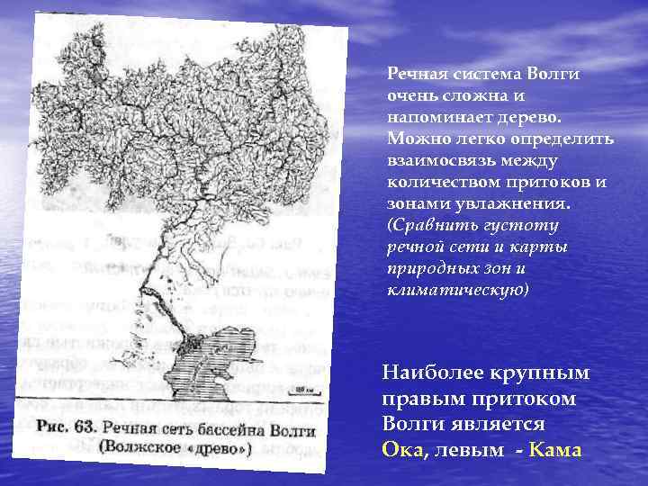 Речная система Волги очень сложна и напоминает дерево. Можно легко определить взаимосвязь между количеством