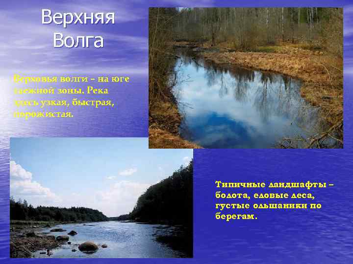 Верхняя Волга Верховья волги – на юге таежной зоны. Река здесь узкая, быстрая, порожистая.