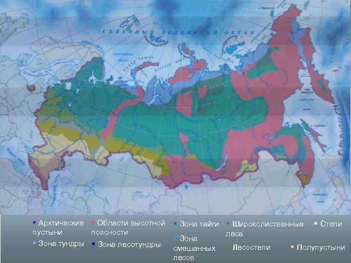 § Арктические § Области высотной § Зона тайги § Широколиственные § Степи пустыни поясности