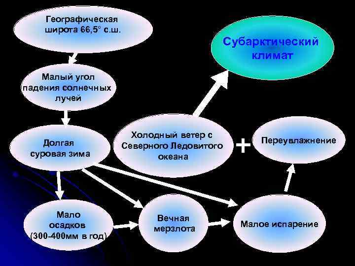 Географическая широта 66, 5° с. ш. Субарктический климат Малый угол падения солнечных лучей Долгая