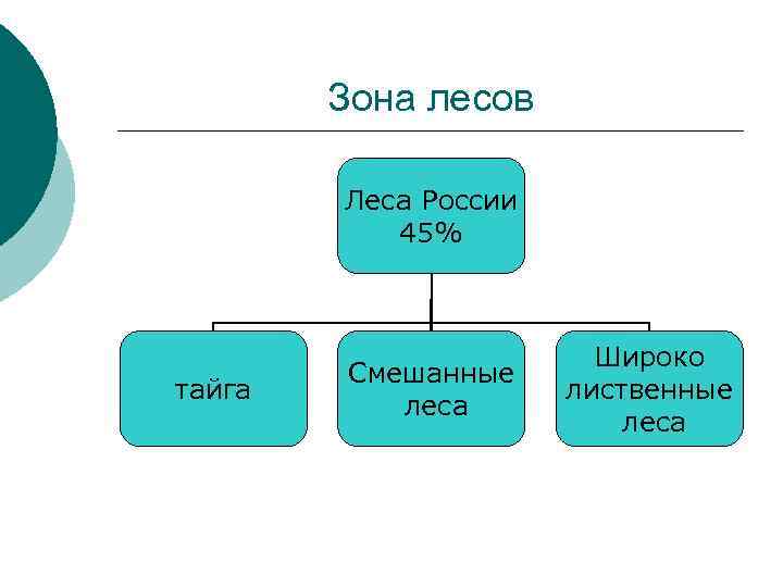 Зона лесов Леса России 45% тайга Смешанные леса Широко лиственные леса 