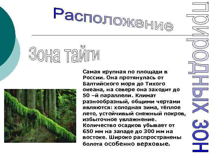 7 Самая крупная по площади в России. Она протянулась от Балтийского моря до Тихого