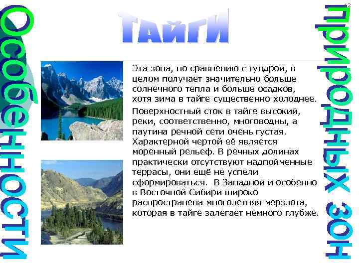 12 Эта зона, по сравнению с тундрой, в целом получает значительно больше солнечного тепла