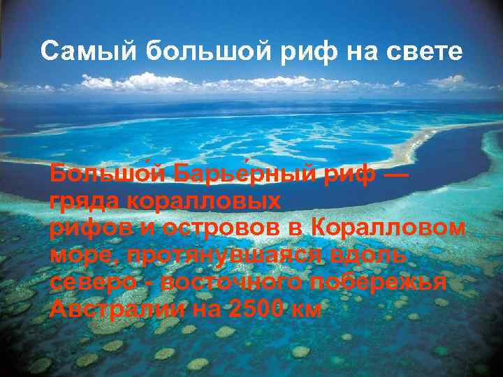 Самый большой риф на свете Большо й Барье рный риф — гряда коралловых рифов