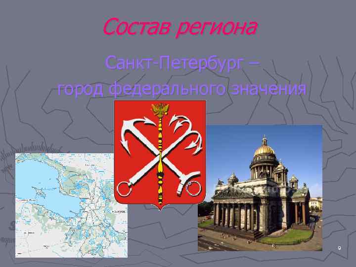 Состав региона Санкт-Петербург – город федерального значения 9 