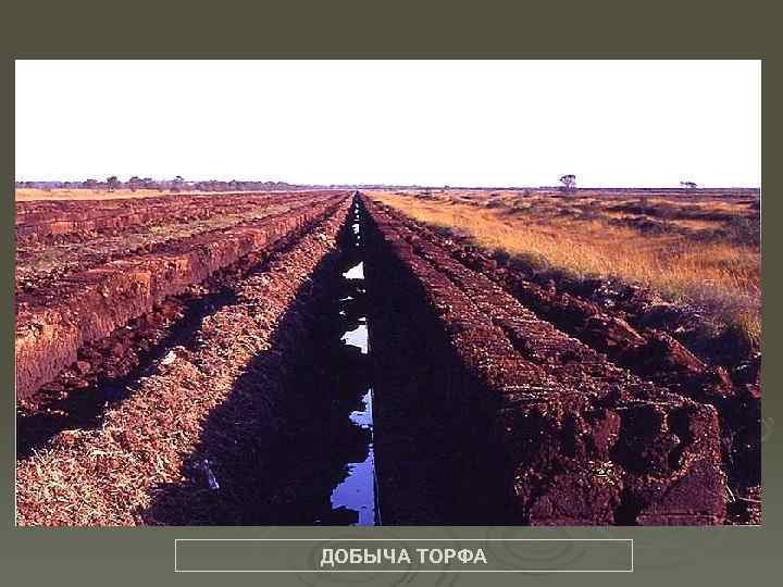 ДОБЫЧА ТОРФА 