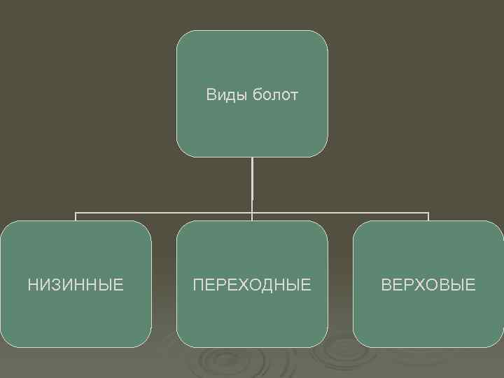Виды болот НИЗИННЫЕ ПЕРЕХОДНЫЕ ВЕРХОВЫЕ 