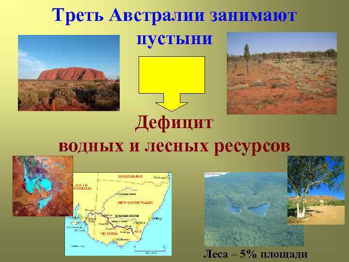 Треть Австралии занимают пустыни Дефицит водных и лесных ресурсов Леса – 5% площади 